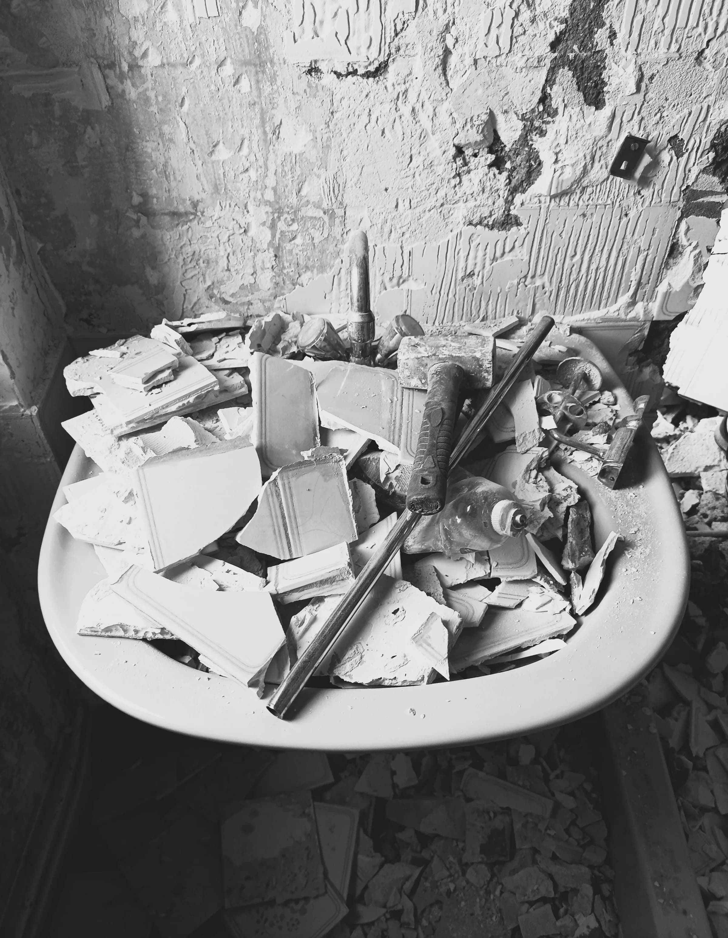 VICTOR — miniature 4